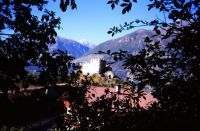 040 Burg Obermontani